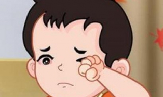 眼屎多怎么办 狗狗眼屎多怎么办