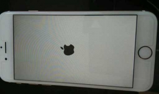 iPhone手机变成白苹果了怎么办 苹果手机变成白苹果了