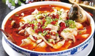 鲢鱼的做法大全 家常炖白鲢鱼的做法大全