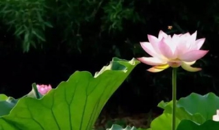 适合夏天听的歌（适合夏天听的歌曲2022）