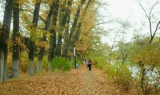 三月适合旅游的地方 三月适合旅游的地方排名