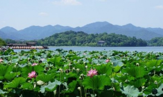 4月份适合去哪里旅游 4月份适合去哪里旅游最好国内