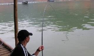 手杆钓鱼技巧（手杆钓鱼技巧全攻略）