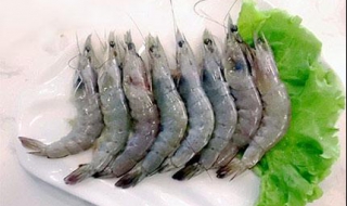 青虾的做法有哪些（青虾的做法?）
