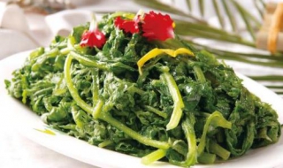 野菜的做法有哪些（野菜的做法有哪些菜）