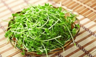 豌豆苗的做法有哪些（豌豆苗做法大全家常菜）