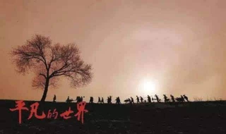平凡的世界人物简介关系（平凡的世界主要人物关系表）