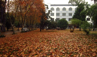 2017年扬州大学曲靖学历提升招生简章（扬州大学2021年扩招吗）