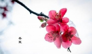 冬至祝福语简短（冬至祝福语简短独特）