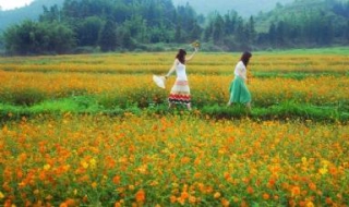 7月份适合去哪里旅游（阳历7月份适合去哪里旅游）