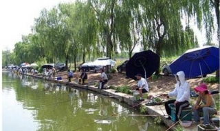 鱼塘钓鱼技巧 钓鱼调漂的正确方法视频教程