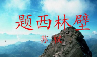 题西林壁的意思 题西林壁的意思 题目