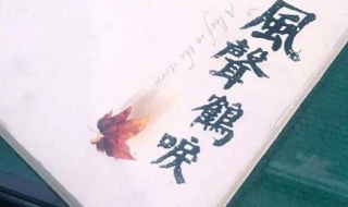 风声鹤唳的意思 风声鹤唳的意思是