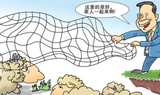 顺手牵羊的意思（顺手牵羊的意思是什么(最佳答案）