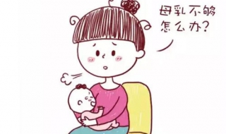 奶水不足怎么办（猫咪奶水不足怎么办）