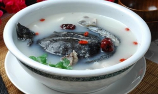 吃甲鱼过敏怎么办（吃甲鱼过敏身上很痒怎么办）