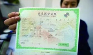出生证明怎么办（没有出生证明怎么办）