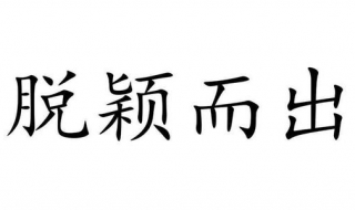 脱颖而出的意思（脱颖而出的近义词）
