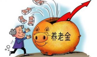 统筹是什么意思