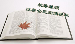 统筹兼顾的意思