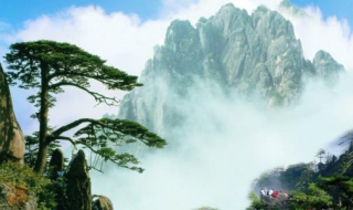 一个人行走-黄山游记 一个人黄山自助游攻略