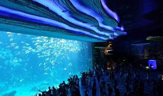 珠海长隆海洋王国游玩攻略（珠海长隆海洋王国游玩攻略(两日游）