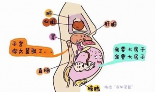 便秘肚子胀怎么办 孕早期便秘肚子胀怎么办