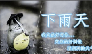 下雨天了怎么办 下雨天了怎么办下一句是什么 套路