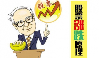股票为什么会涨跌 股票为什么会涨跌,原因是谁控制的