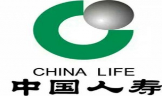 CorelDRAW制做中国人寿图标 cdr怎么创建图案样式
