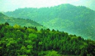 郁郁葱葱的意思是（郁郁葱葱的意思是什么二年级）