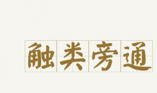 触类旁通的意思 触类旁通的含义