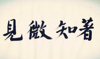 见微知著是什么意思（见微知著是什么意思解释）