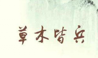 草木皆兵是什么意思（两眼一盯草木皆兵是什么意思）