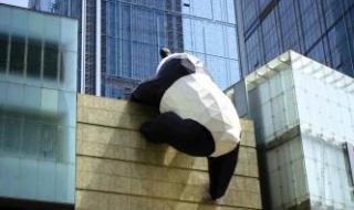 范二青年是什么意思 范二的青春