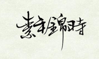 素年锦时什么意思（素年锦时出处）