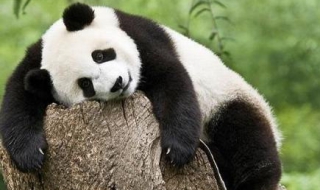 筋疲力尽的意思 筋疲力尽的意思疲的意思