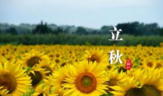 立秋是什么意思 立秋是什么意思?时间是什么时候?