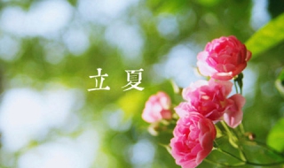 立夏是什么意思 夏至的寓意和象征