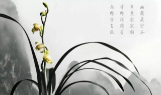空谷幽兰什么意思（仿若空谷幽兰什么意思）