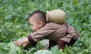 瓜娃子是什么意思 男生对女生说瓜娃子是什么意思