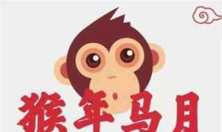 猴年马月的意思 猴年马月的意思是什么生肖