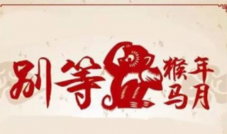 猴年马月是什么意思（猴年马月是什么意思,猴年马月是什么时候）