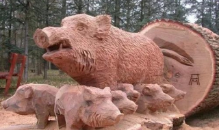 猪笼入水什么意思 猪笼入水什么意思怎样写信给儿子