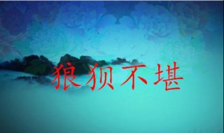 狼狈不堪的意思（狼狈不堪的意思是啥）