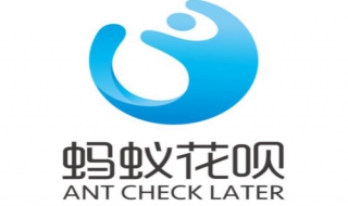 支付宝花呗消费额度怎么看（支付宝花呗消费额度怎么看的）