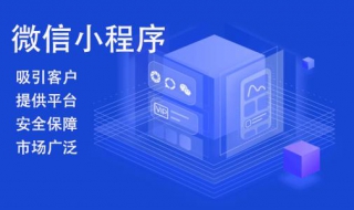 小程序开发简介（小程序开发简介怎么写）