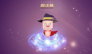 魔法猪安装系统教程 魔法猪装机教程