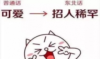 稀罕是什么意思（女孩说稀罕你啥意思）