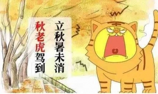 秋老虎是什么意思 秋老虎是什么意思啊讲一讲秋分
